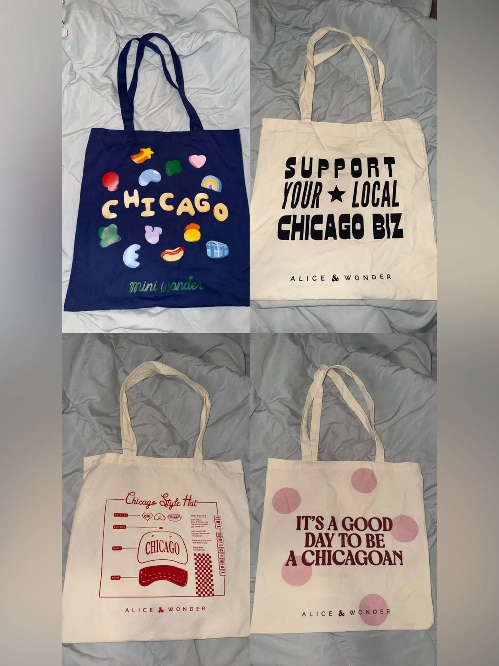 Alice & Wonder Chicago tote bag bundle